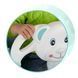 Гойдалка-трансформер Ведмедик 3в1 Ricokids бірюзова (770100) jan_p5316 фото 5