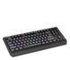 Бездротова клавіатура Genesis THOR 230 TKL US BLACK RGB MECHANICAL OUTEMU (NKG-2106) xk_1351046 фото 2