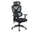 Ергономічне крісло Silver Monkey office SMO-750 (SMM022) xk_1162295 фото 4