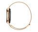 Розумний годинник Maxcom Ecowatch 3 Gold xk_1318183 фото 5