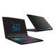 Ноутбук MSI Katana 17 i5-13420H/32GB/512 RTX4050 144Hz (Katana 17 | B13VEK-1449XPL) xk_1306412 фото 1