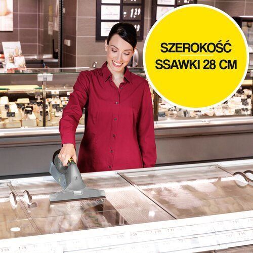 Віконний пилосос KARCHER Professional WVP 10 1.633-550.0 (480768) avan_480768 фото